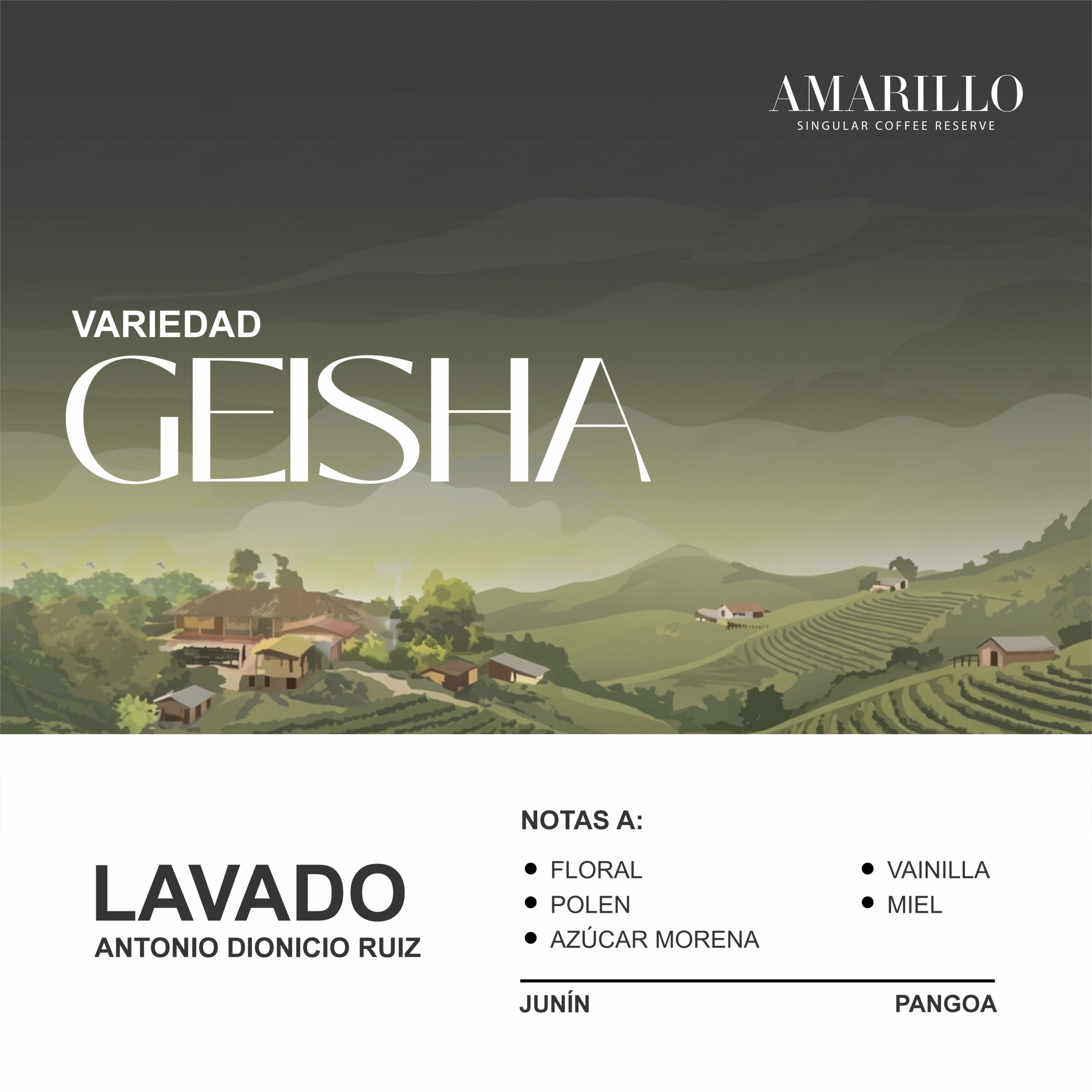 Fondo Geisha Lavado