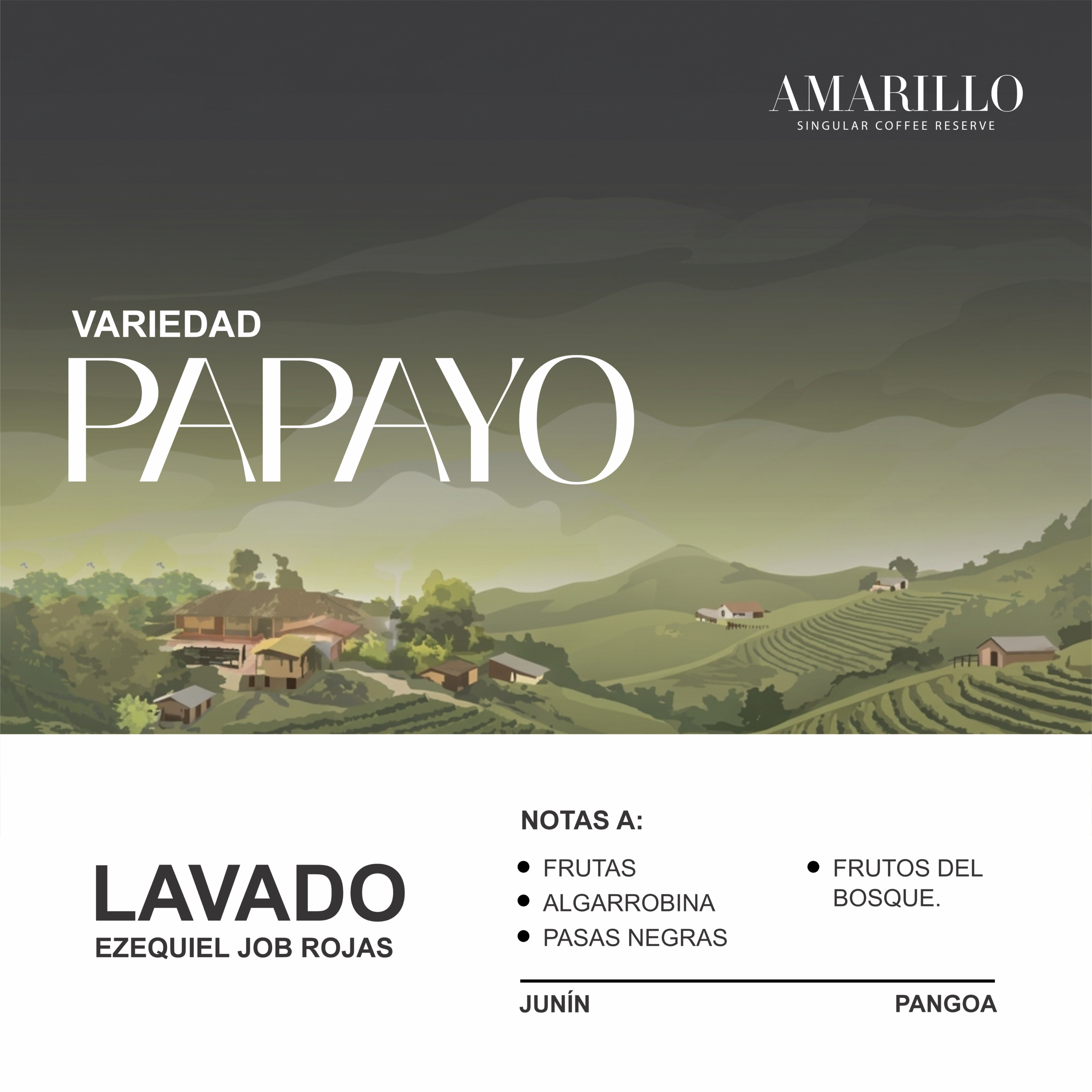 Fondo Papayo Lavado